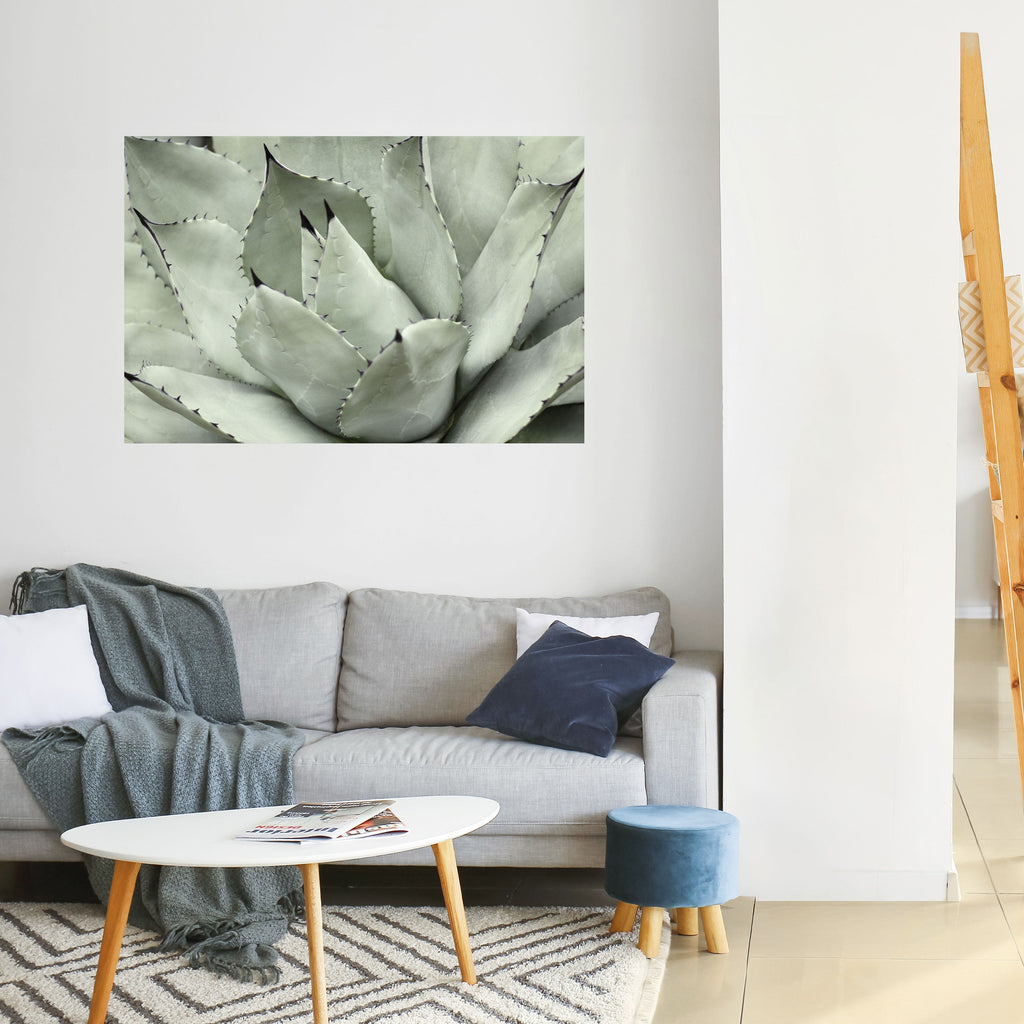 MYSTICAL SUCCULENT DREAM Horizontales Poster zum Abziehen und Aufkleben