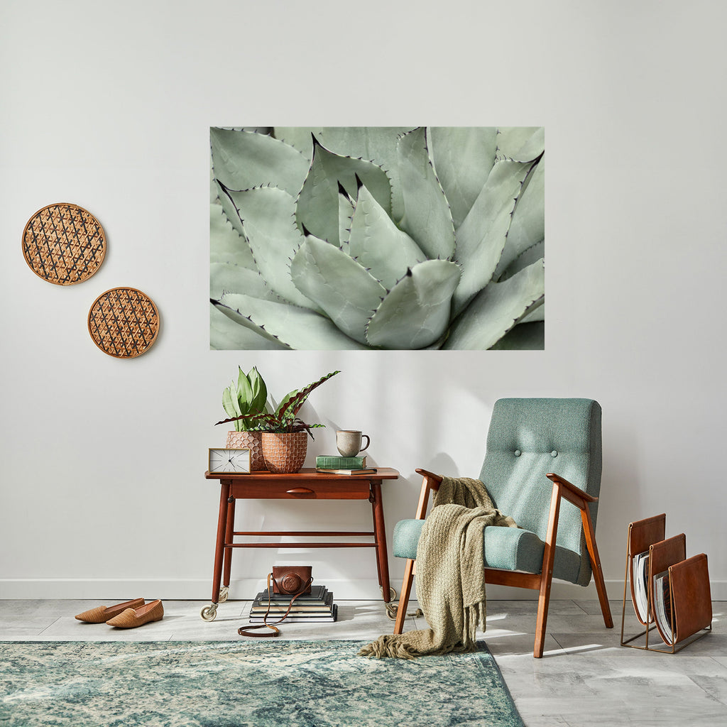 MYSTICAL SUCCULENT DREAM Horizontales Poster zum Abziehen und Aufkleben