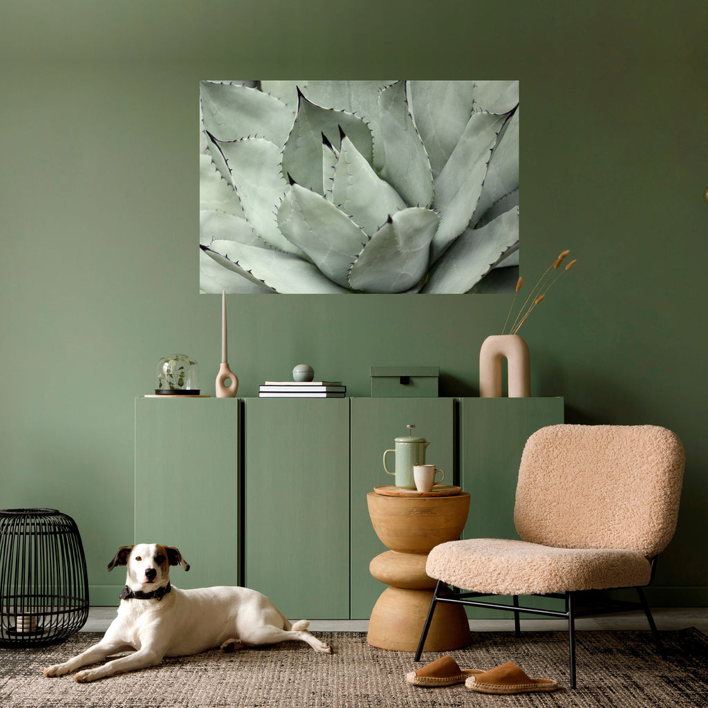 MYSTICAL SUCCULENT DREAM Horizontales Poster zum Abziehen und Aufkleben