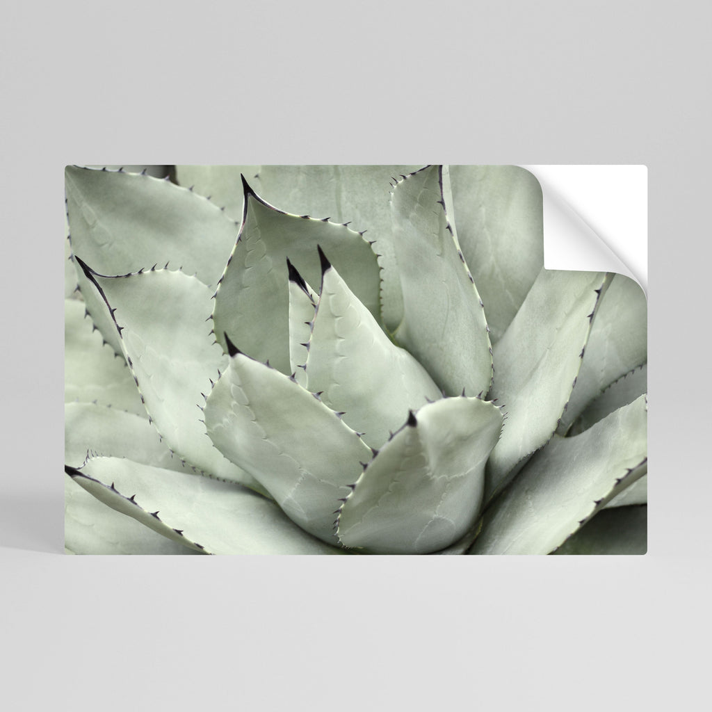 MYSTICAL SUCCULENT DREAM Horizontales Poster zum Abziehen und Aufkleben