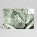 MYSTICAL SUCCULENT DREAM Selbstklebendes Horizontal-Poster