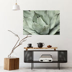 MYSTICAL SUCCULENT DREAM Selbstklebendes Horizontal-Poster