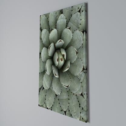 SUCCULENT SYMMETRY Vertical Canvas Print