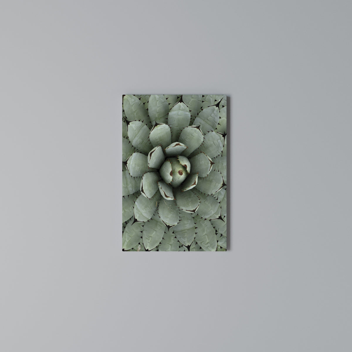 SUCCULENT SYMMETRY Vertical Canvas Print