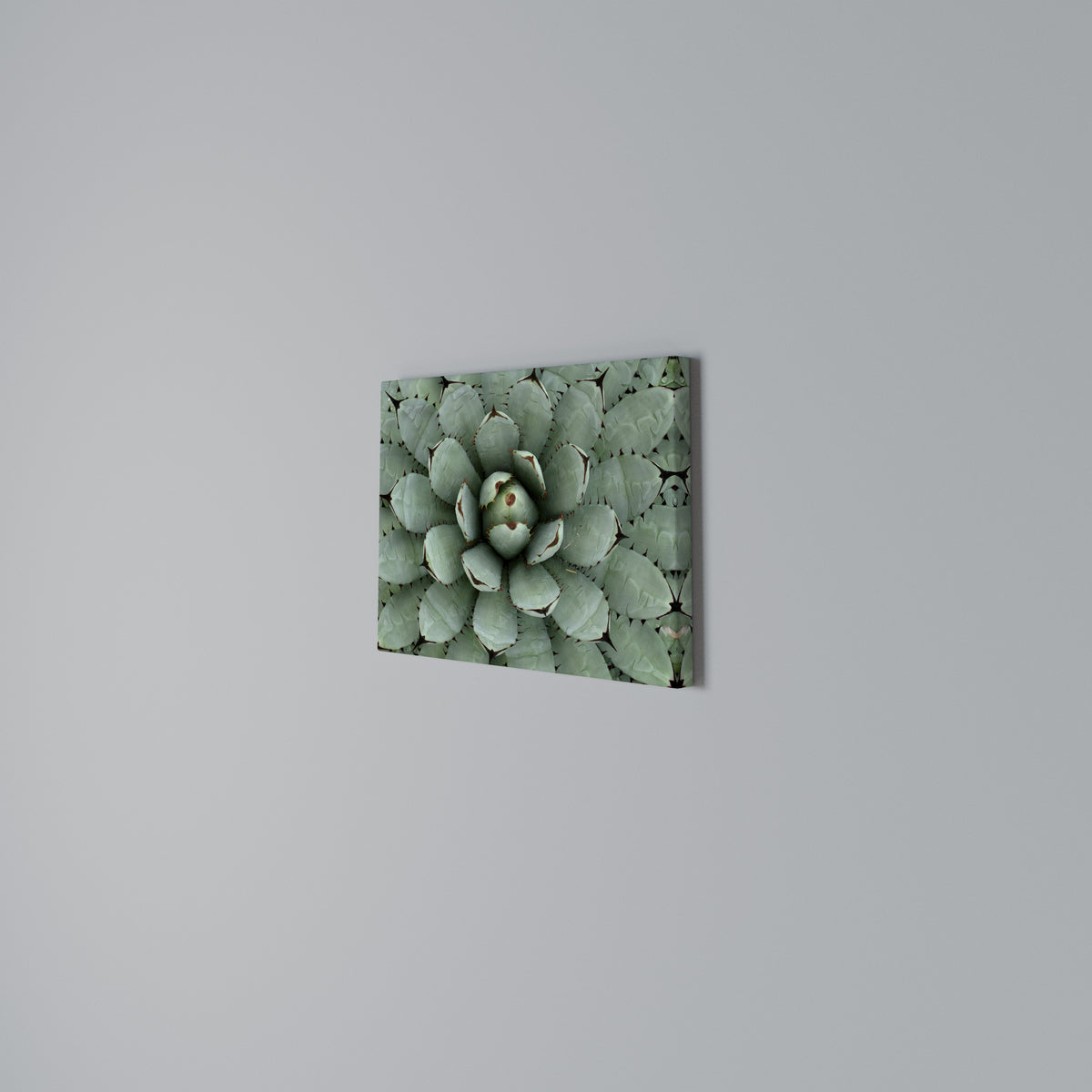 SUCCULENT SYMMETRY Horizontal Canvas Print