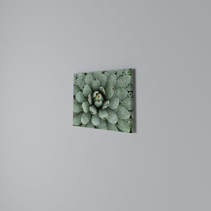 SUCCULENT SYMMETRY Horizontal Canvas Print