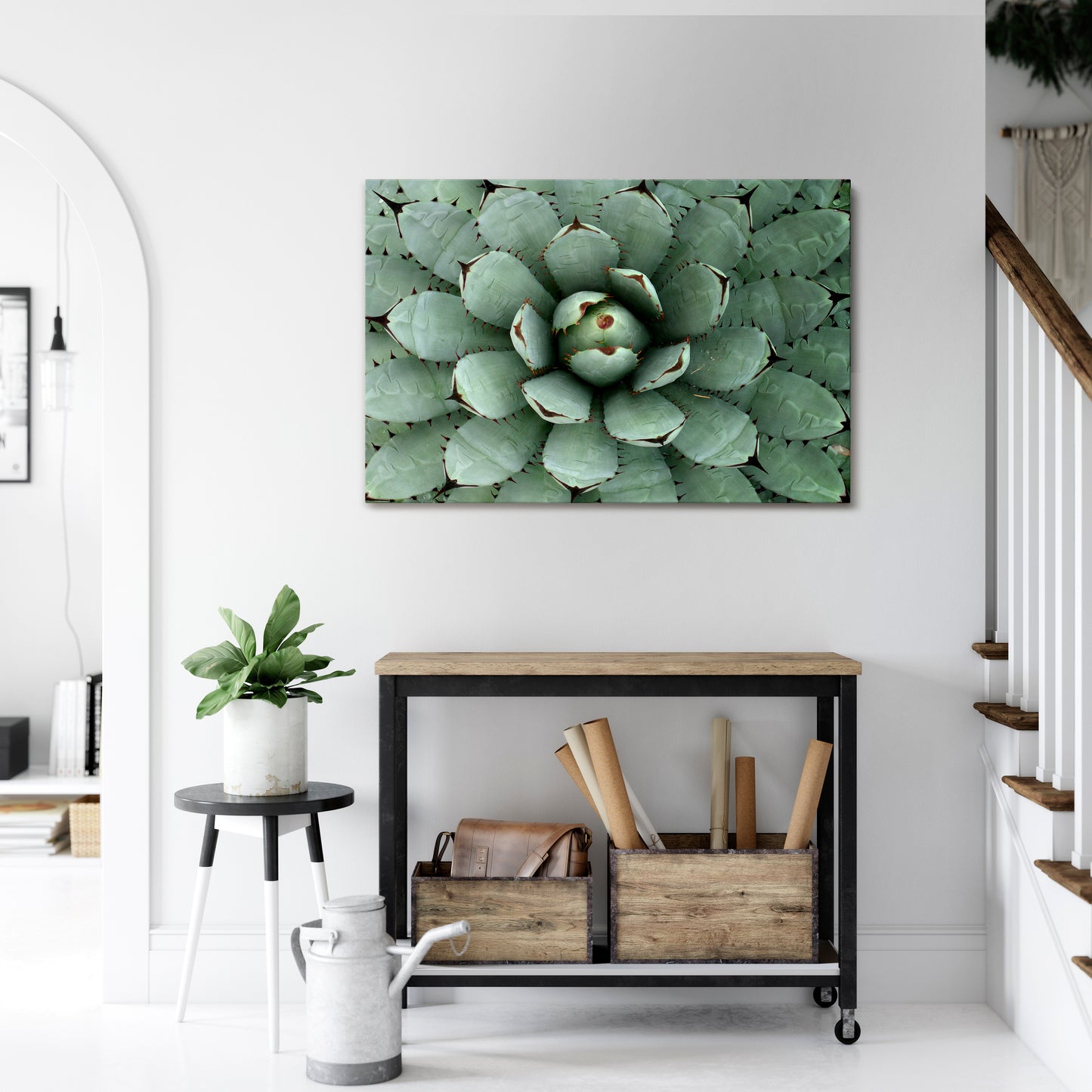 SUCCULENT SYMMETRY Horizontal Canvas Print