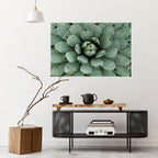 SUCCULENT SYMMETRY Selbstklebendes Horizontal-Poster