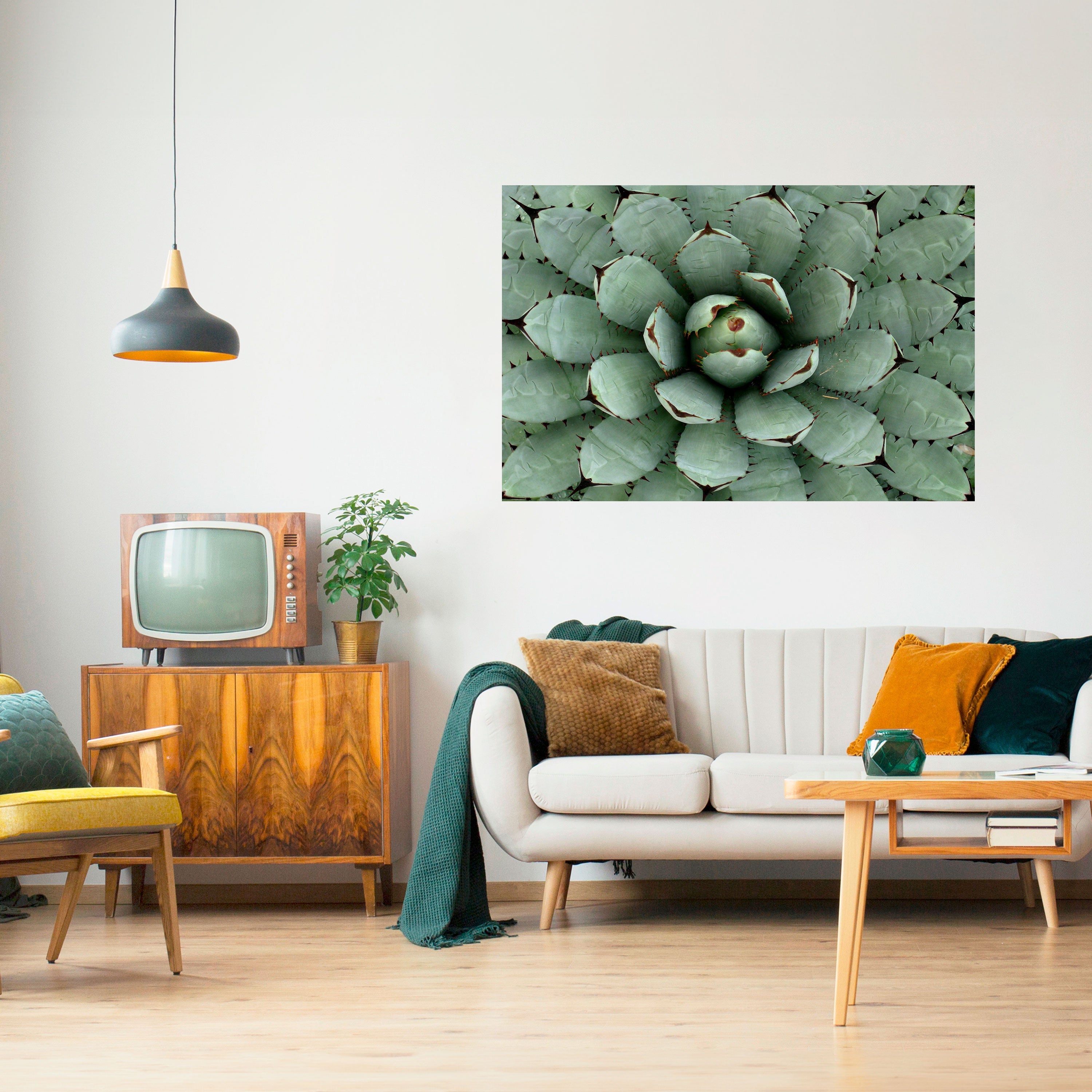 Sukkulenten-Symmetrie, horizontales Poster zum Abziehen und Aufkleben