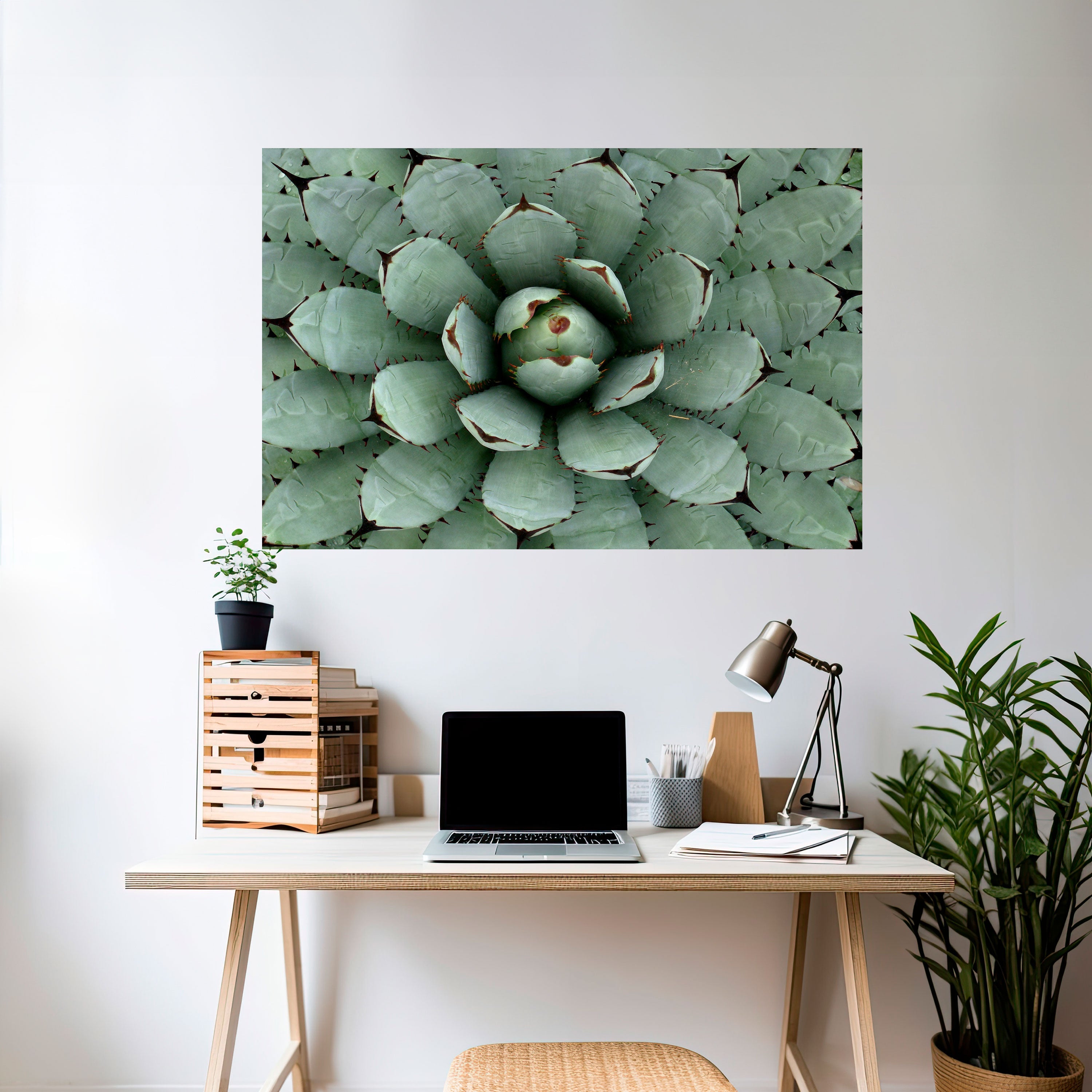 Sukkulenten-Symmetrie, horizontales Poster zum Abziehen und Aufkleben