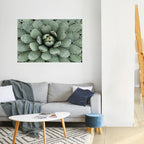SUCCULENT SYMMETRY Selbstklebendes Horizontal-Poster