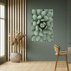 SUCCULENT SYMMETRY Selbstklebendes Poster - Hochformat