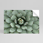 SUCCULENT SYMMETRY Selbstklebendes Horizontal-Poster