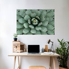 SUCCULENT SYMMETRY Selbstklebendes Horizontal-Poster