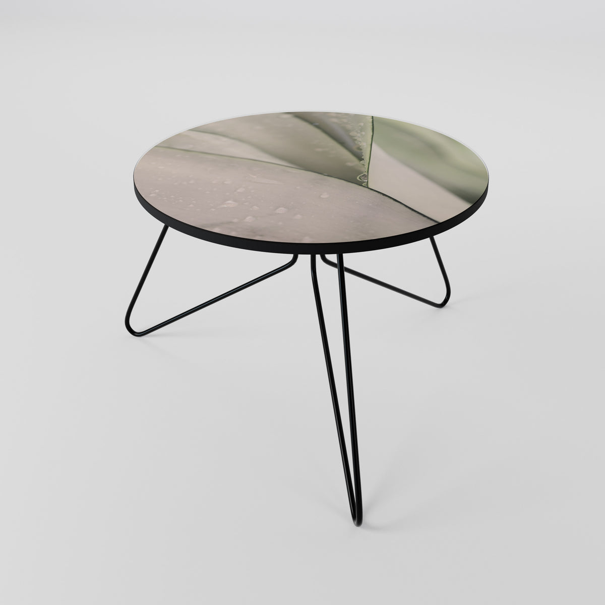 NATURE'S TAPESTRY Coffee Table
