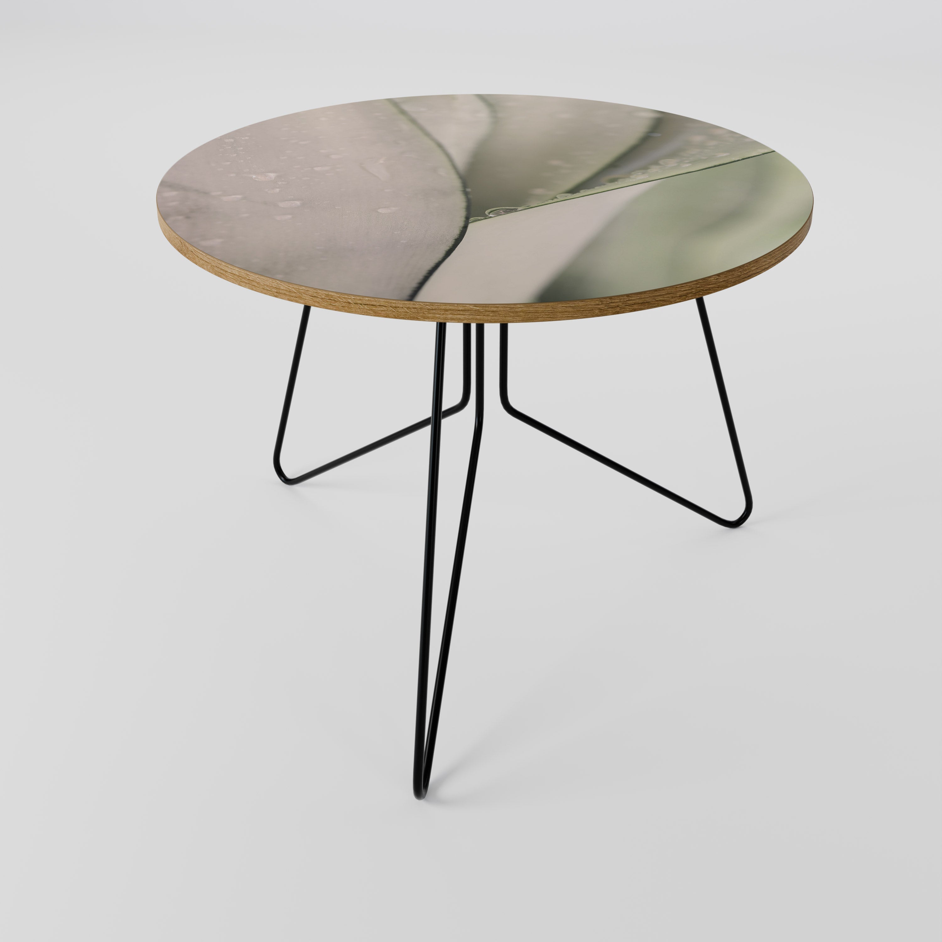 NATURE'S TAPESTRY Coffee Table 69