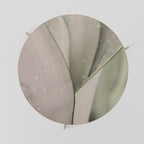 NATURE'S TAPESTRY Couchtisch Ø 69 cm