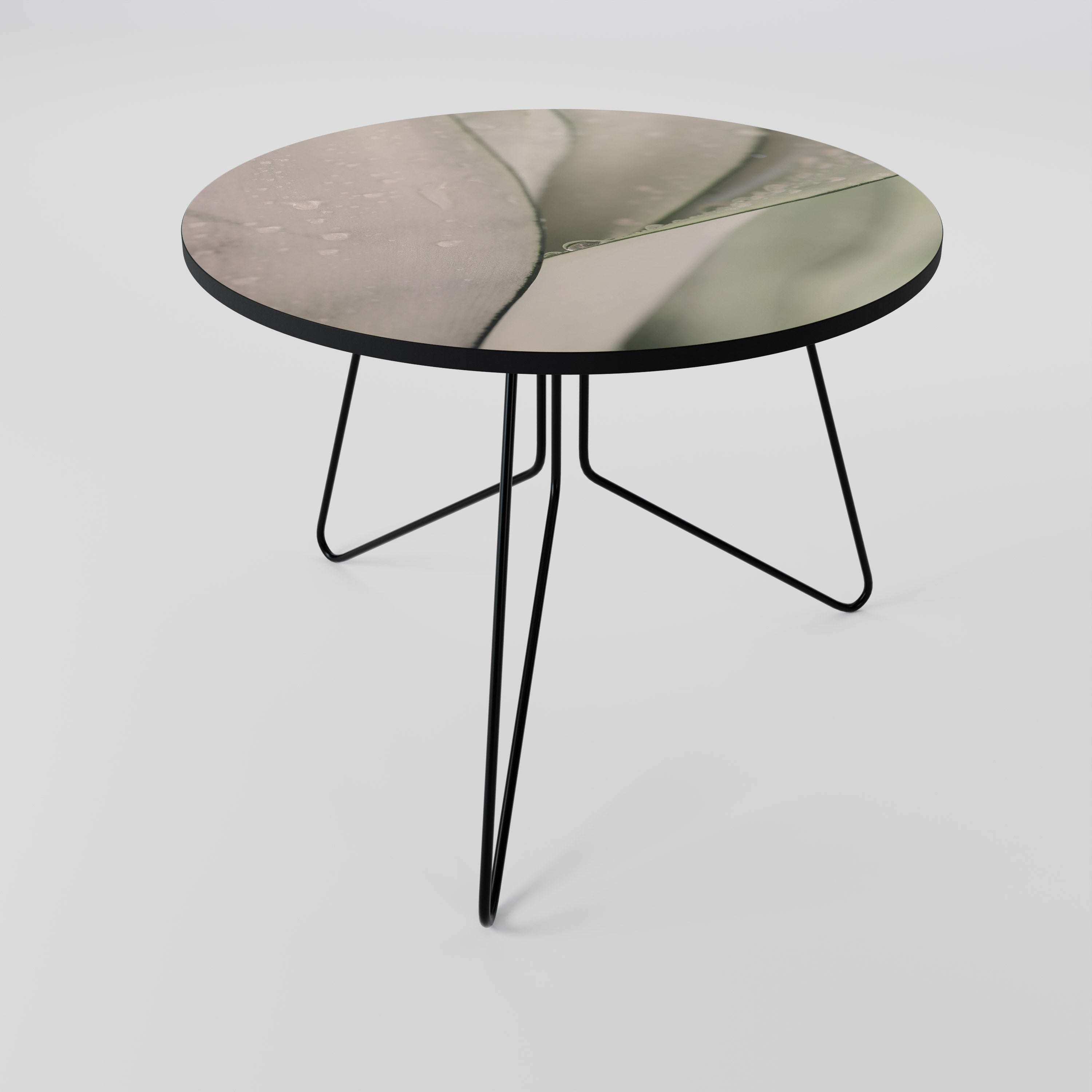 NATURE'S TAPESTRY Coffee Table