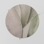 NATURE'S TAPESTRY Couchtisch Ø 69 cm