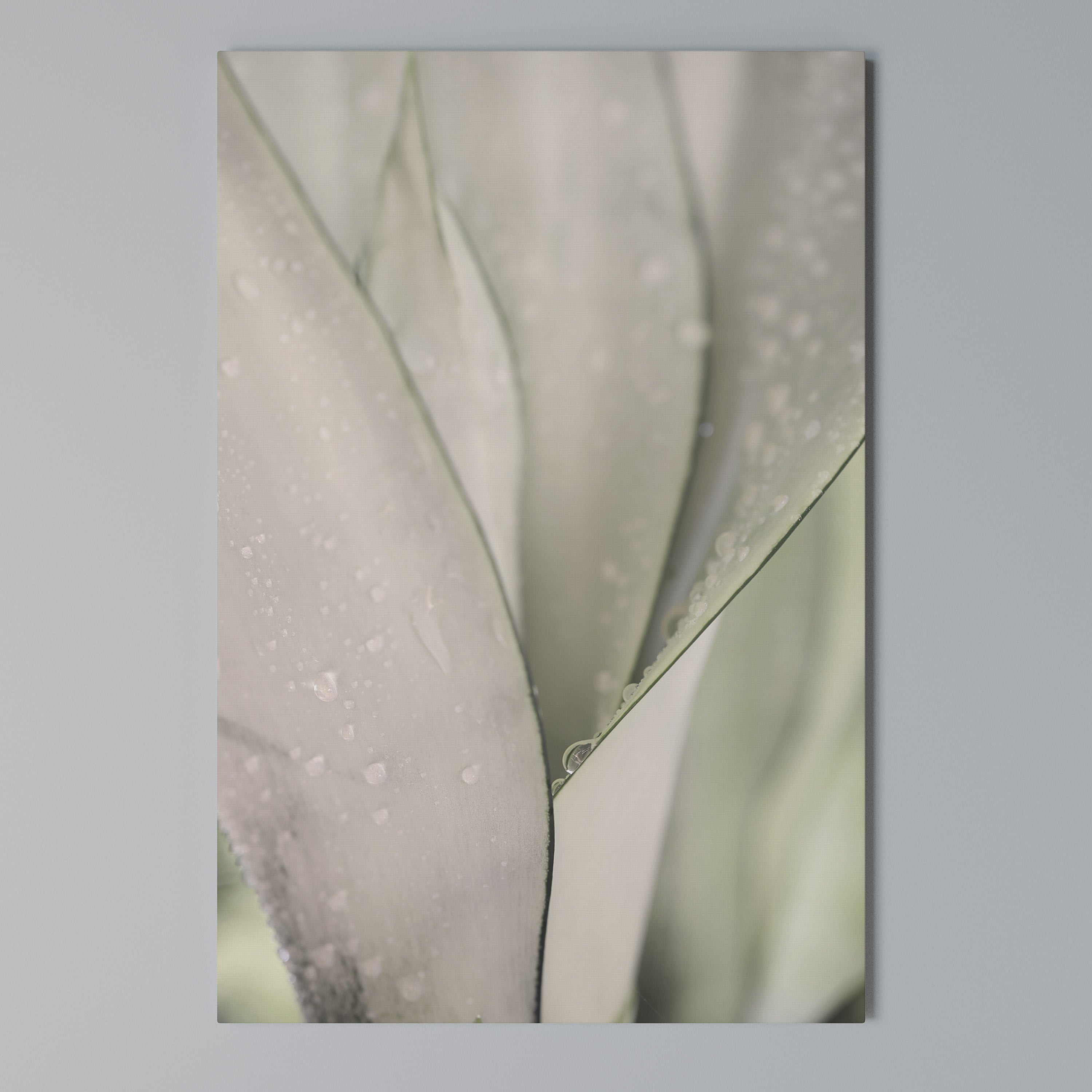 NATURE'S TAPESTRY Vertical Canvas Print
