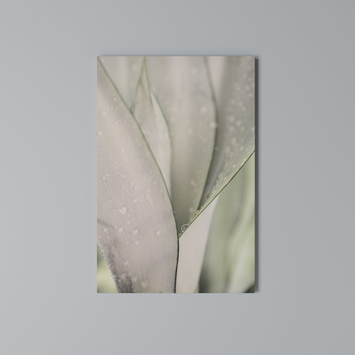 NATURE'S TAPESTRY Vertical Canvas Print