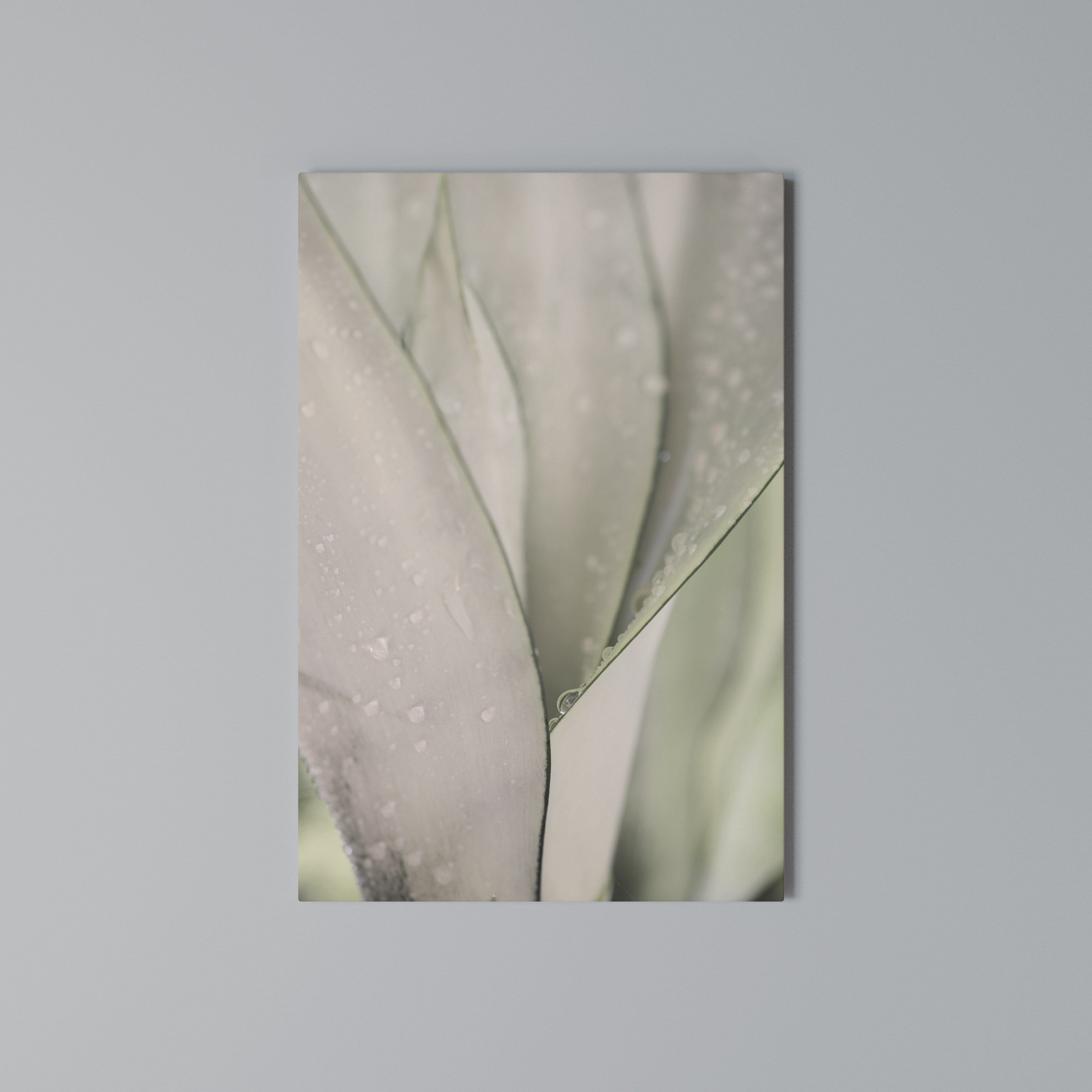 NATURE'S TAPESTRY Vertical Canvas Print