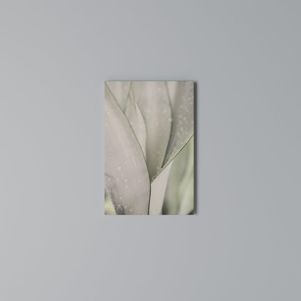 NATURE'S TAPESTRY Vertical Canvas Print