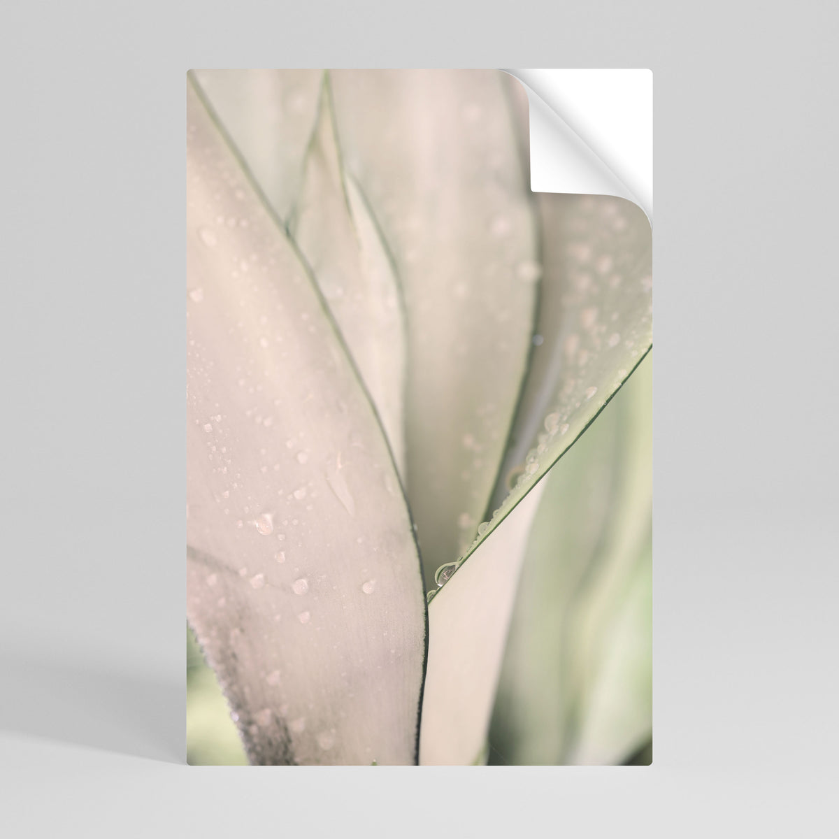NATURE'S TAPESTRY Selbstklebendes Poster - Hochformat
