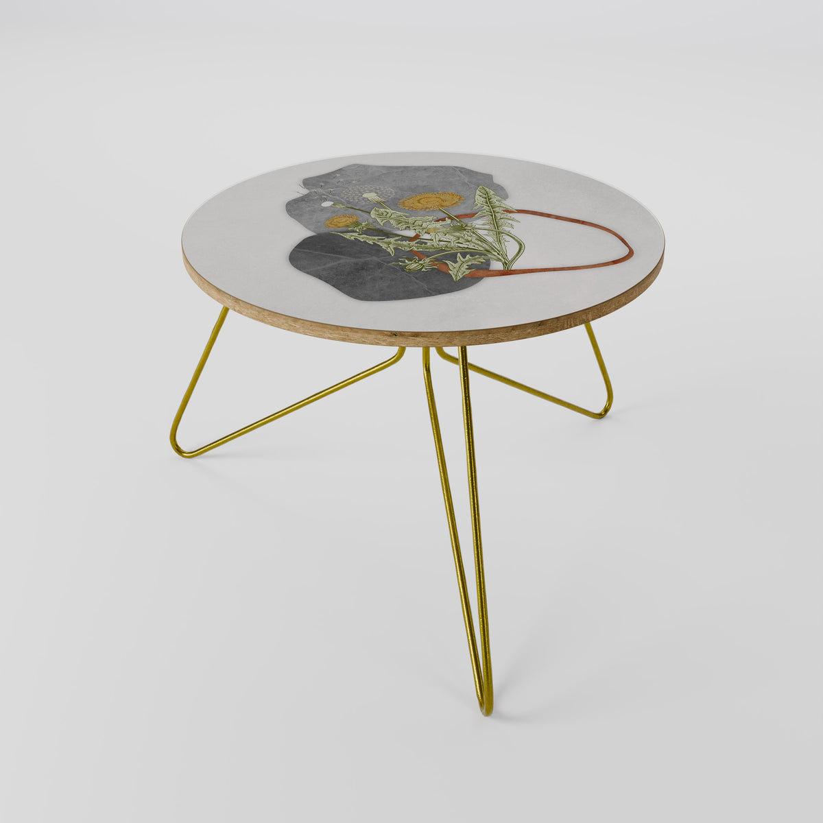 DANDELION RING Couchtisch