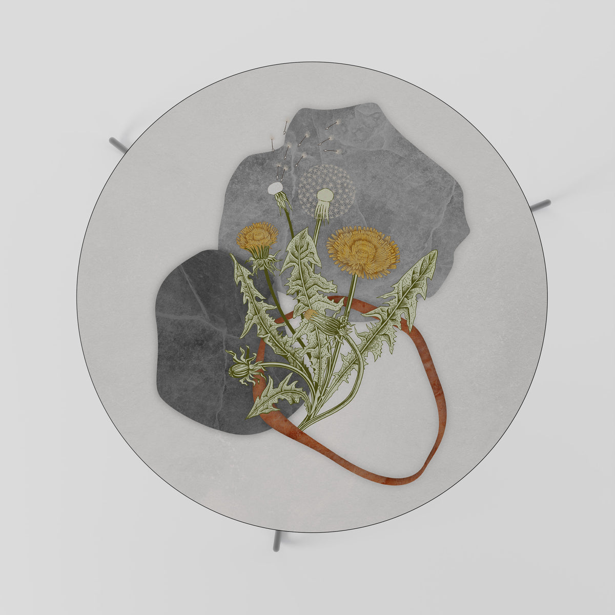 DANDELION RING Couchtisch