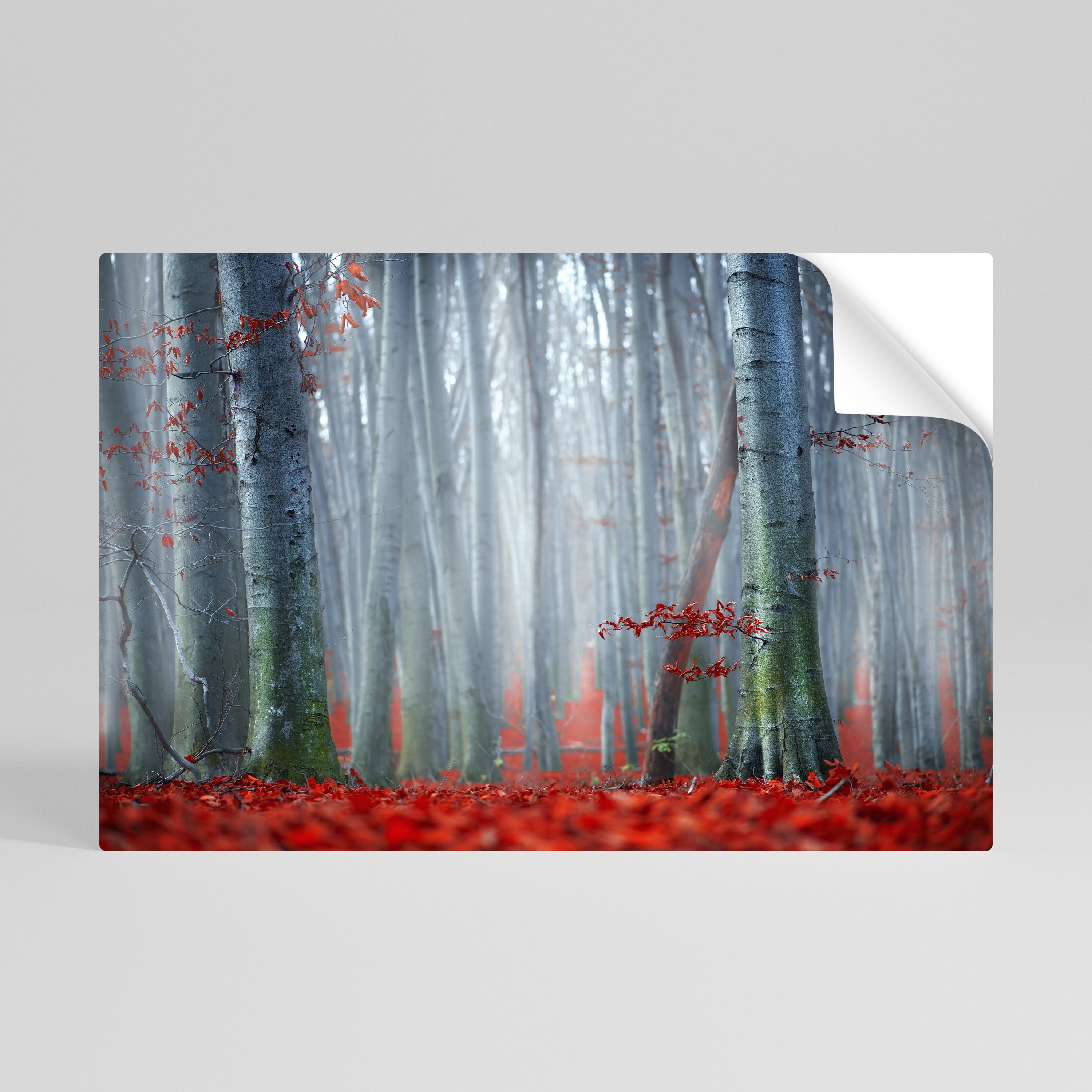 TRANQUIL RED ELEGANCE Horizontales Poster zum Abziehen und Aufkleben