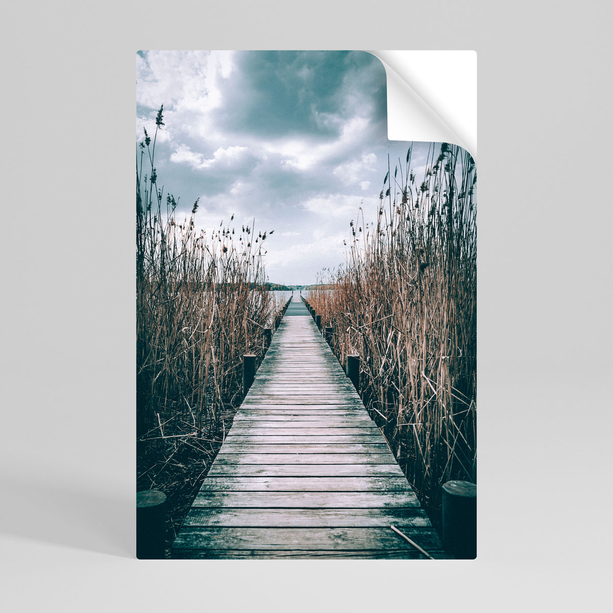 GAZE INTO STILLNESS Selbstklebendes Poster - Hochformat