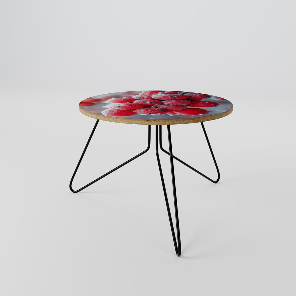 WINTER'S CRIMSON TREASURES Couchtisch 60