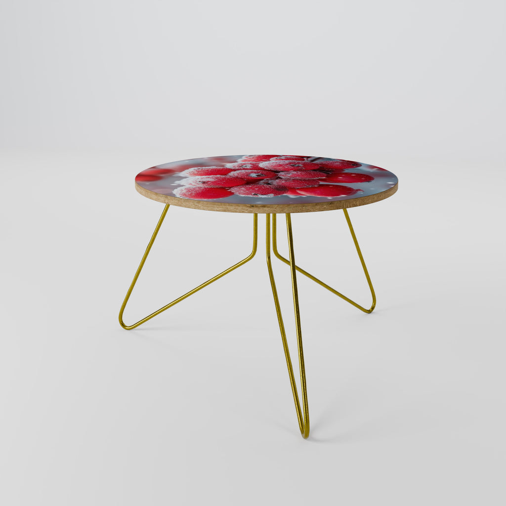 WINTER'S CRIMSON TREASURES Couchtisch 60