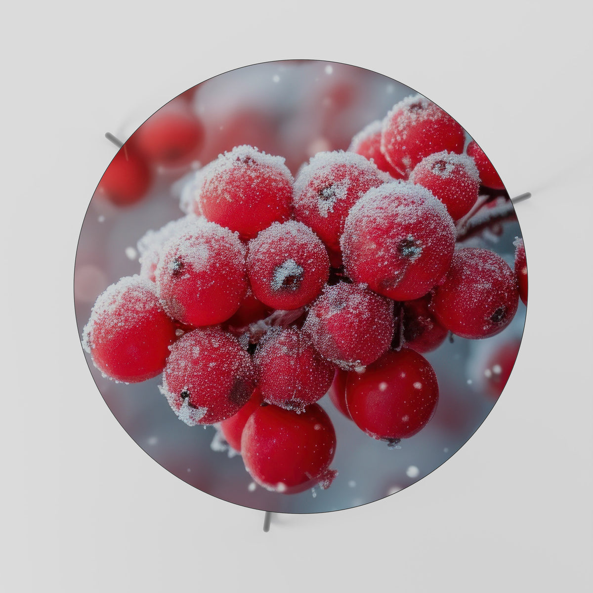 WINTER'S CRIMSON TREASURES Couchtisch