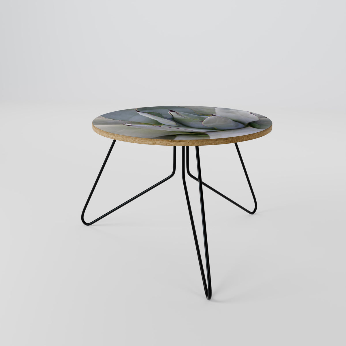 AGAVE ELEGANCE Couchtisch