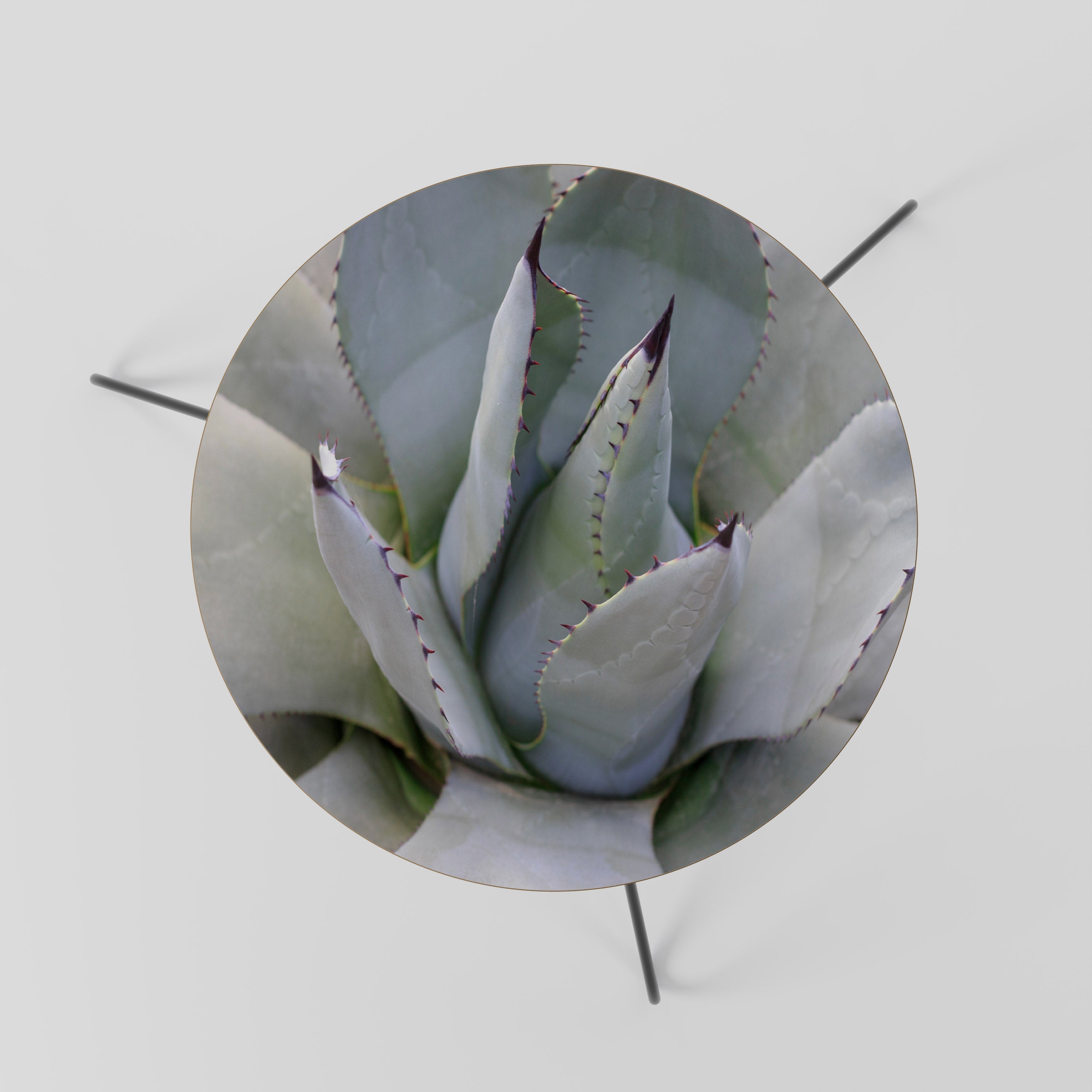 AGAVE ELEGANCE Coffee Table 60