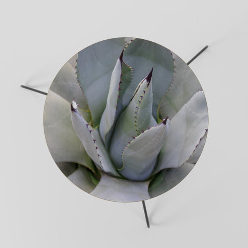 AGAVE ELEGANCE Couchtisch Ø 60 cm