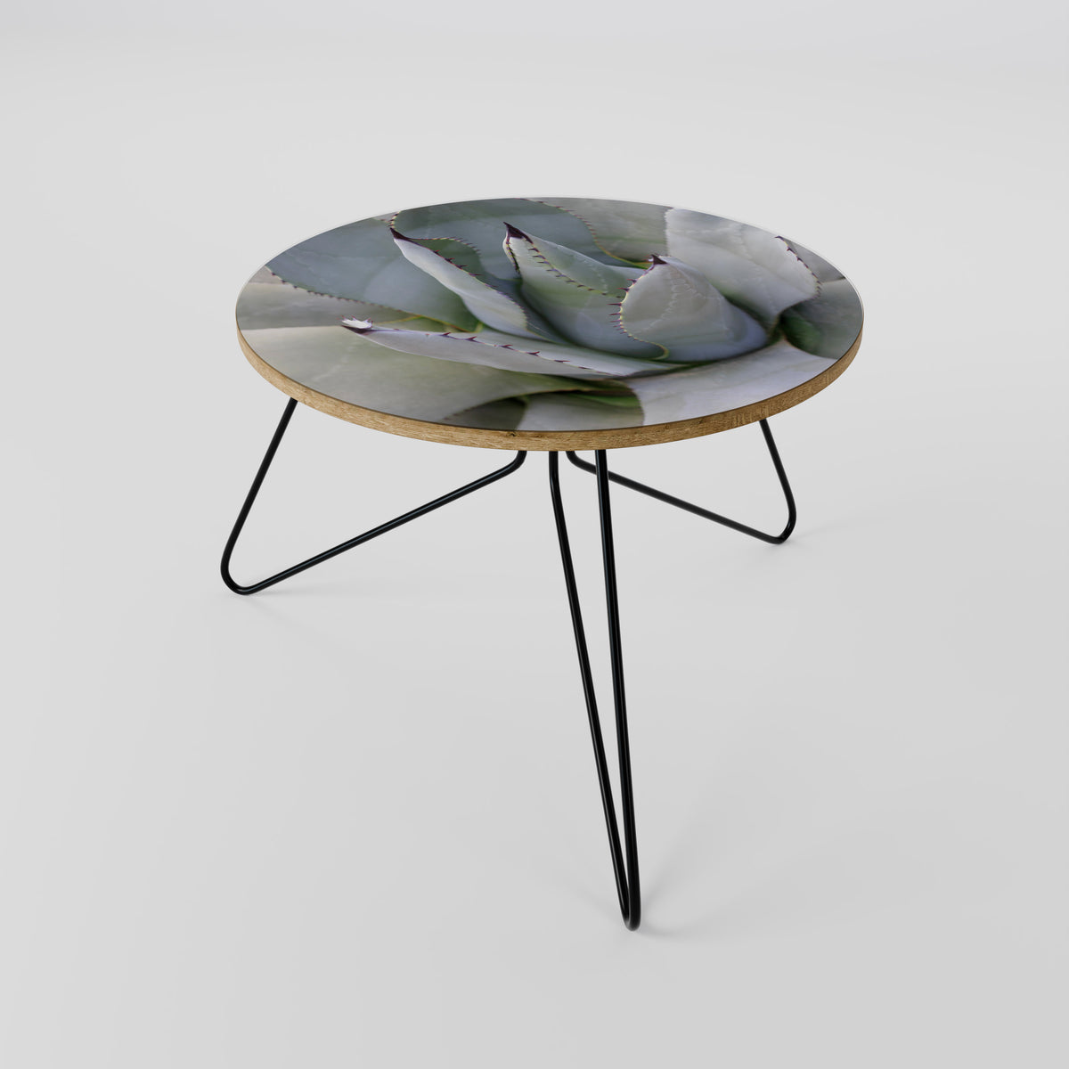 AGAVE ELEGANCE Coffee Table
