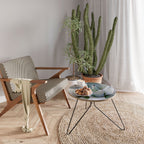 AGAVE ELEGANCE Couchtisch