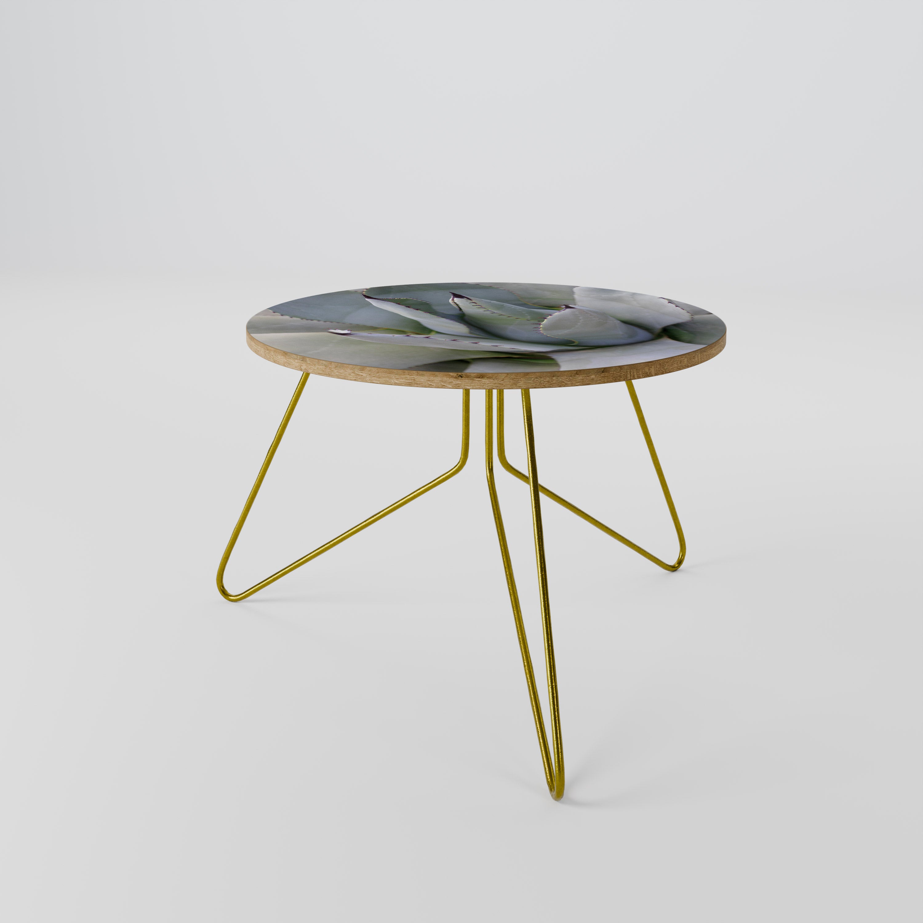 AGAVE ELEGANCE Coffee Table