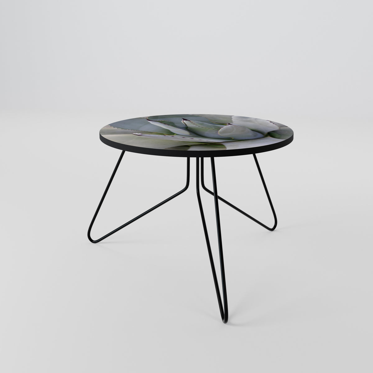 AGAVE ELEGANCE Couchtisch