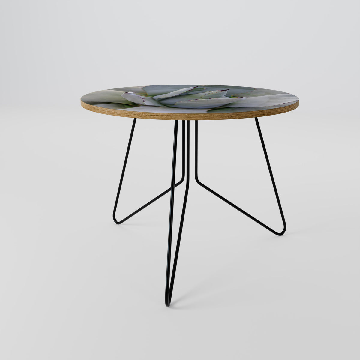 AGAVE ELEGANCE Coffee Table
