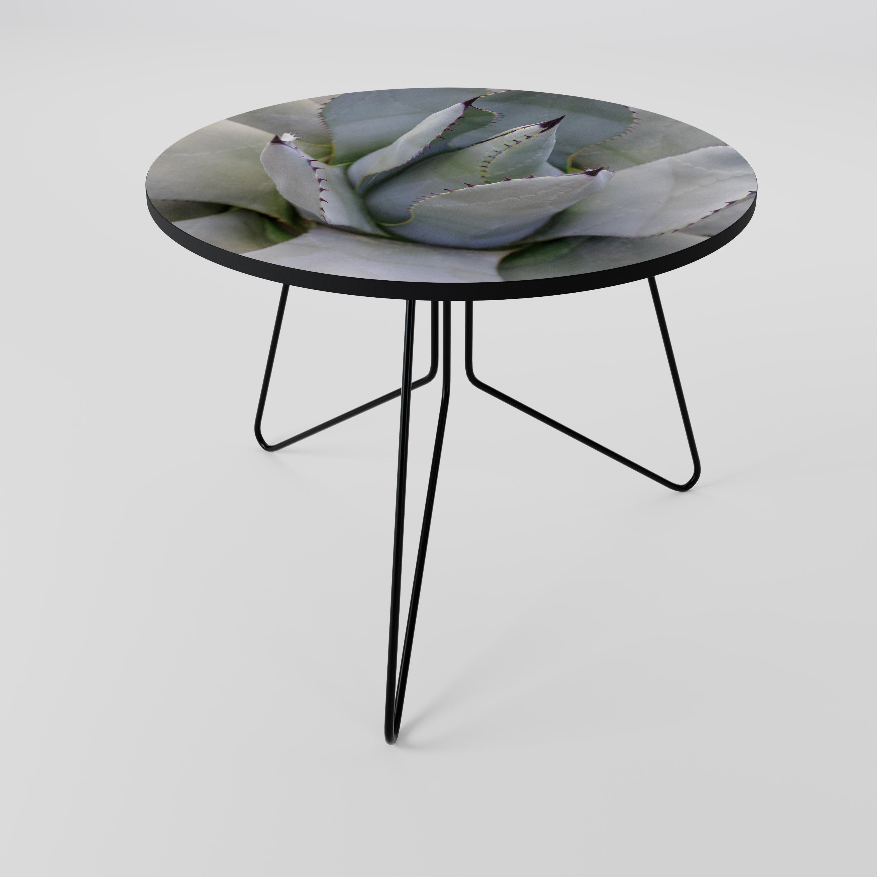 AGAVE ELEGANCE Coffee Table 69