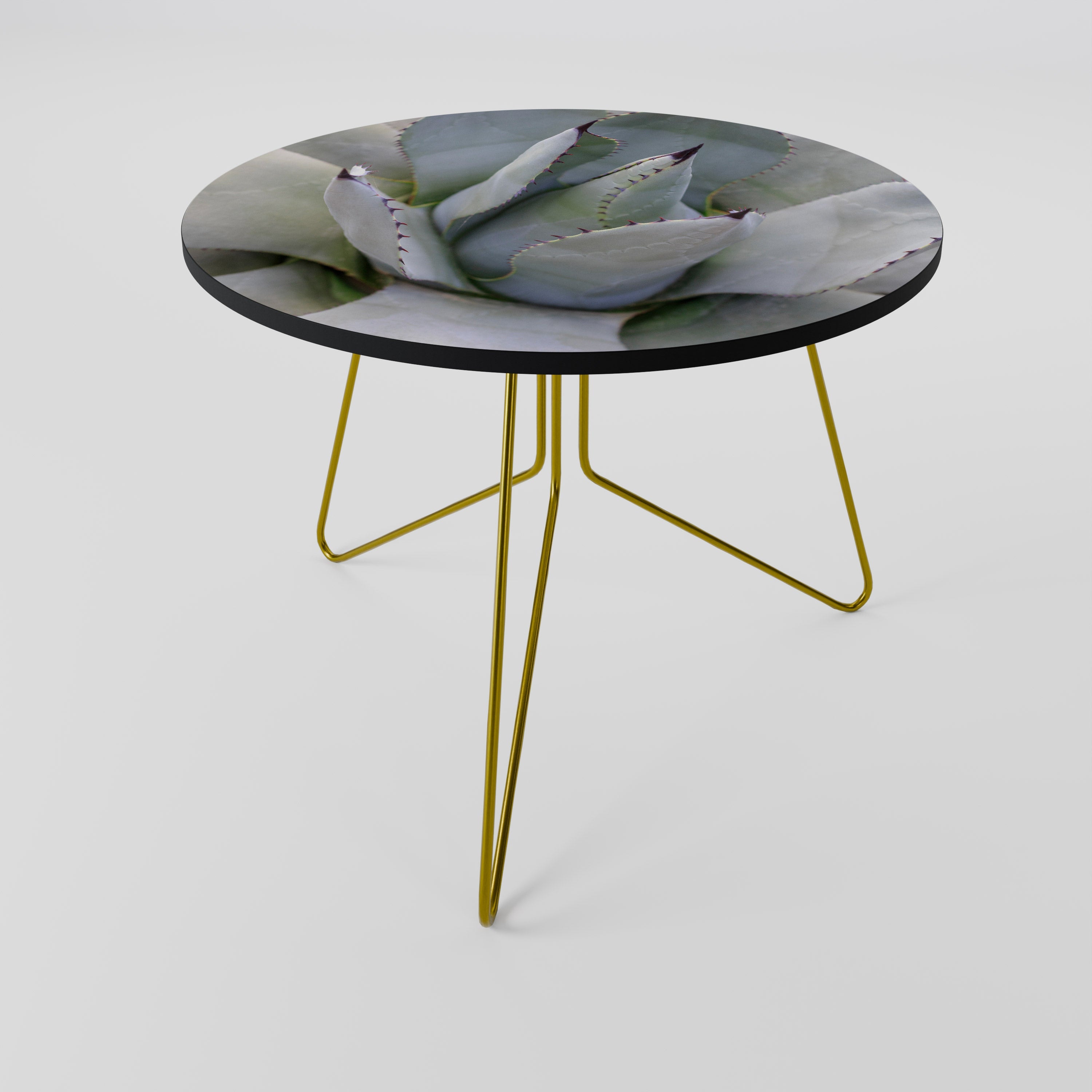 AGAVE ELEGANCE Coffee Table 69