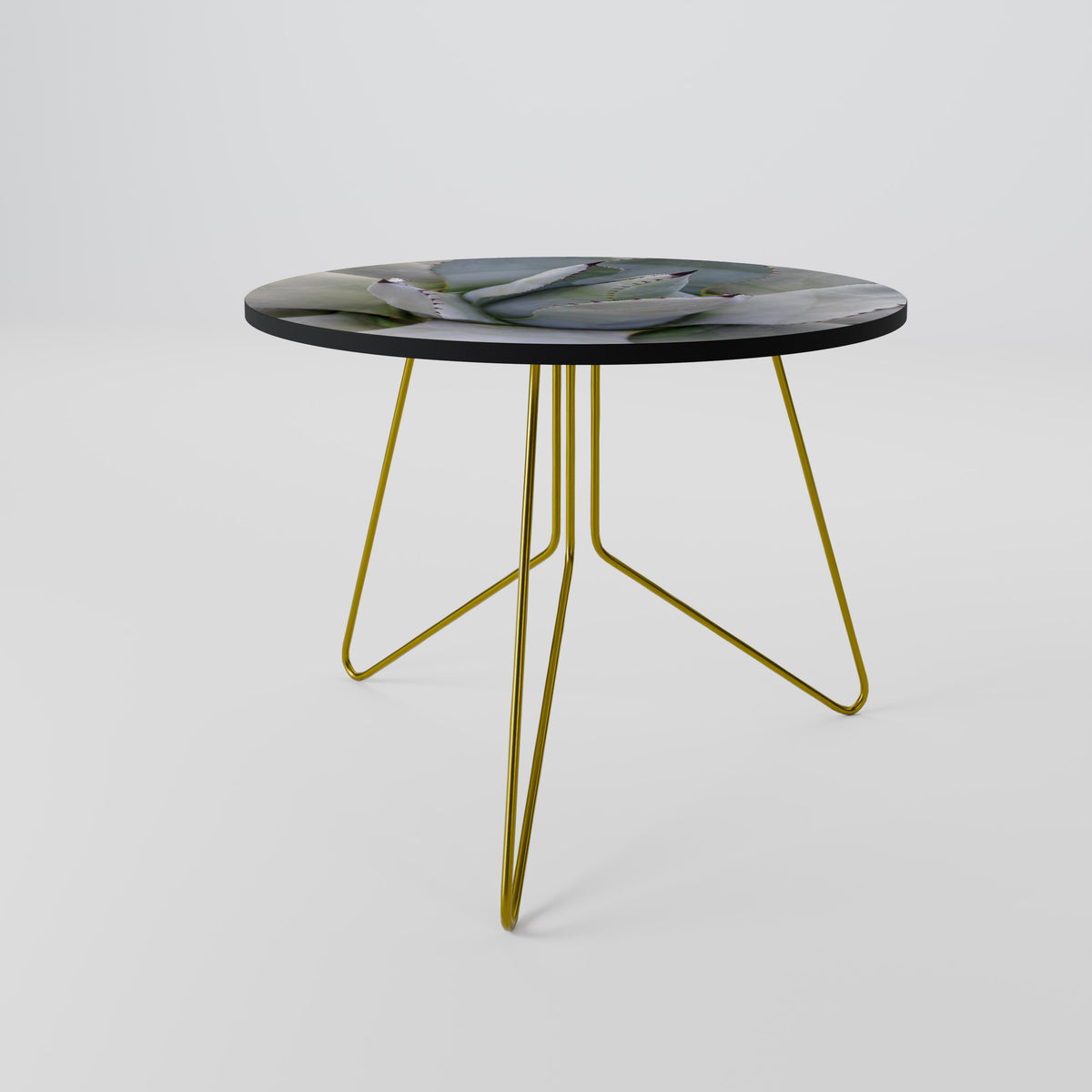 AGAVE ELEGANCE Couchtisch
