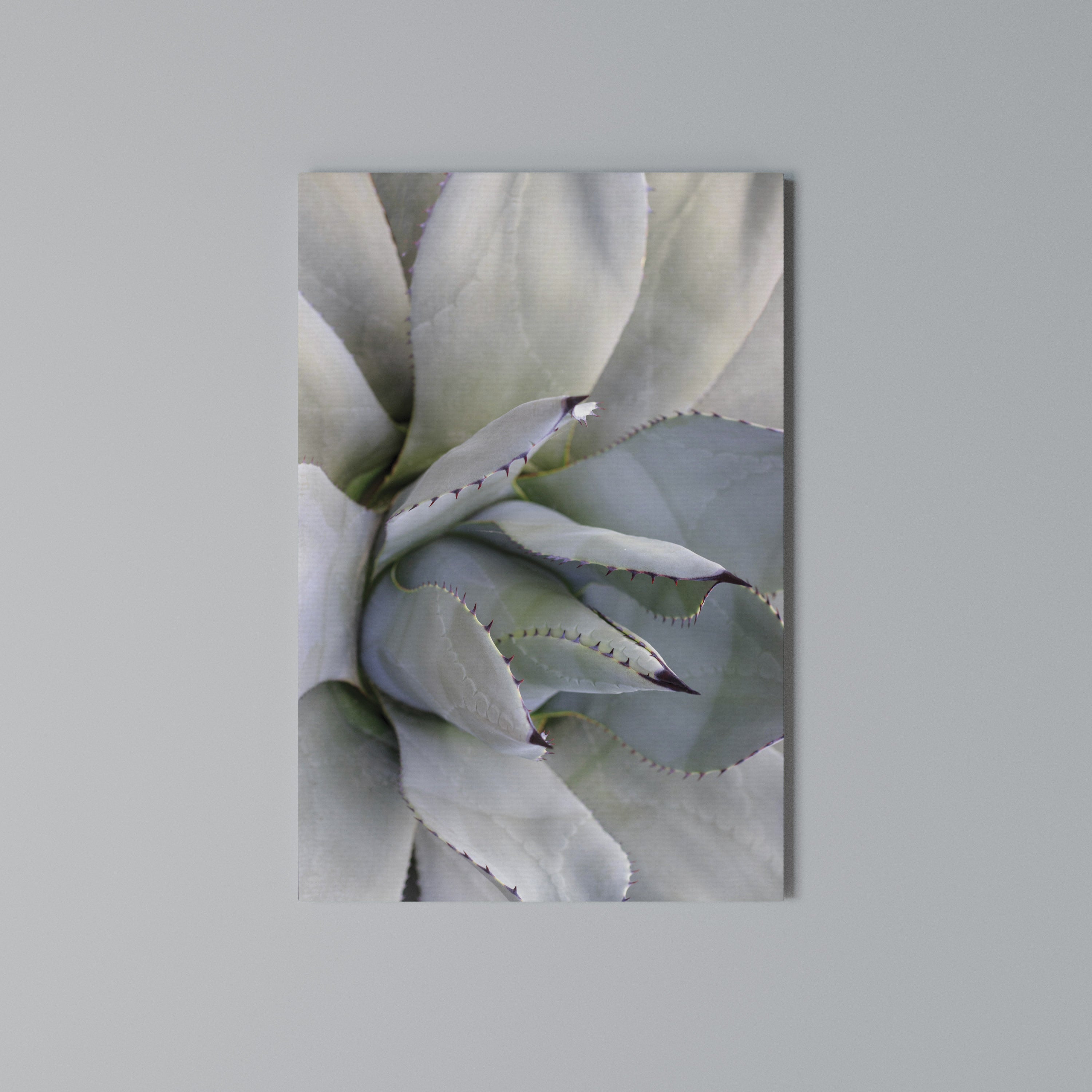 AGAVE ELEGANCE Vertical Canvas Print