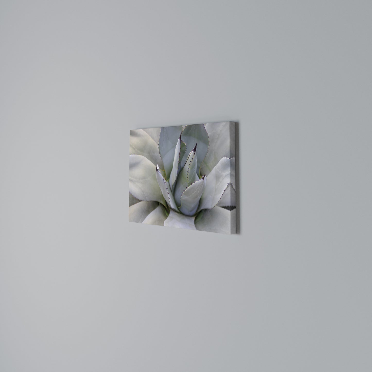 AGAVE ELEGANCE Horizontal Canvas Print