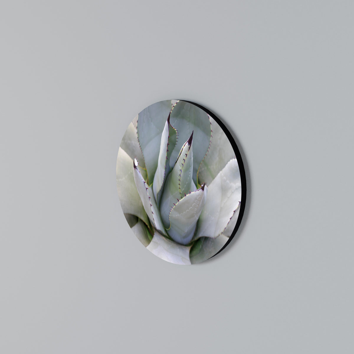 AGAVE ELEGANCE Rundes Wandbild