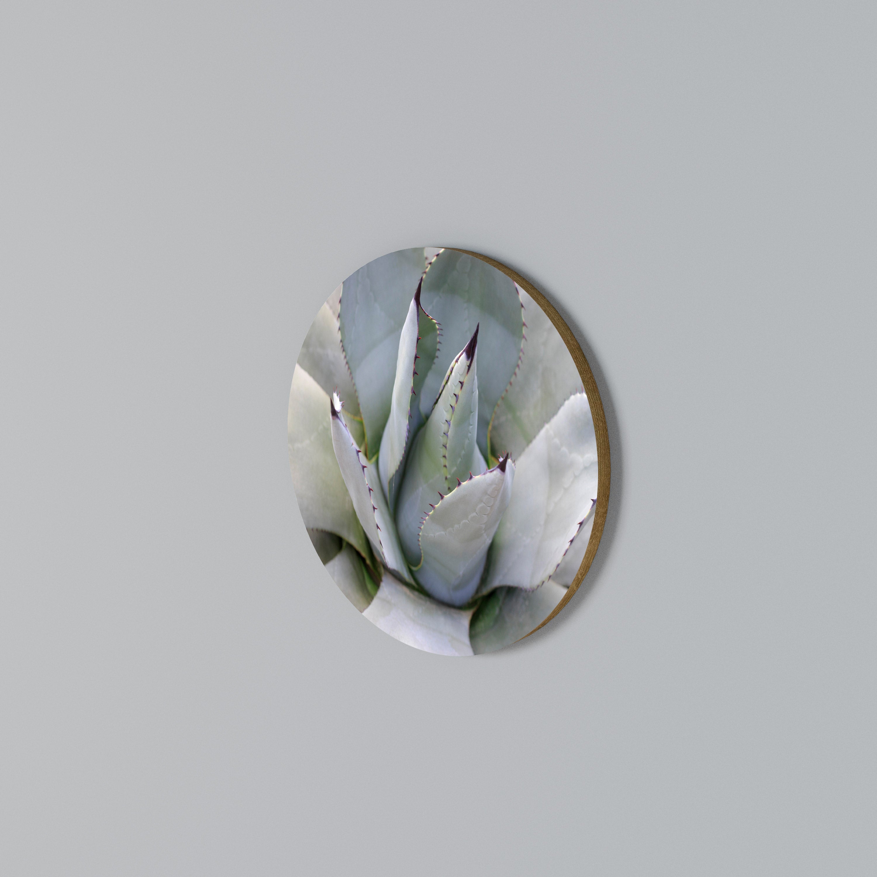 AGAVE ELEGANCE Round Wall Art